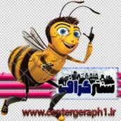 تصویر دوربری شده زنبور عسل