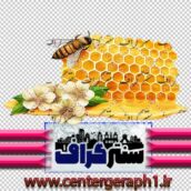 تصویر دوربری شده زنبور و کندو عسل
