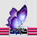 تصویر دوربری شده پروانه آبی رنگ