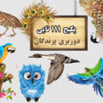 مجموعه 111 تایی تصاویر دوربری پرندگان (گالری 12)