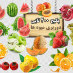 مجموعه 200 تایی تصاویر دوربری میوه ها(گالری 8)